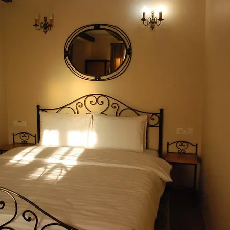 Penzion Casa Gotica 3*