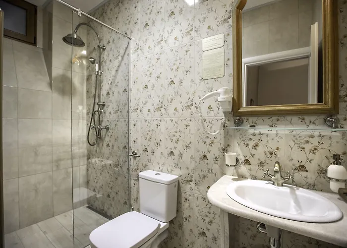 Casa Gotica 3* 브라쇼브